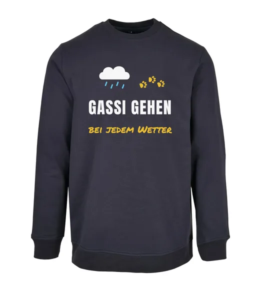 Haustiere - Gassi gehen bei jedem Wetter Sweatshirt
