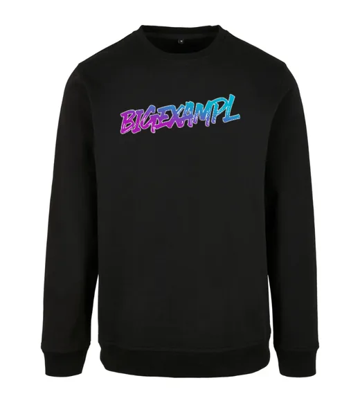 BIGEXAMPL - Sweatshirt