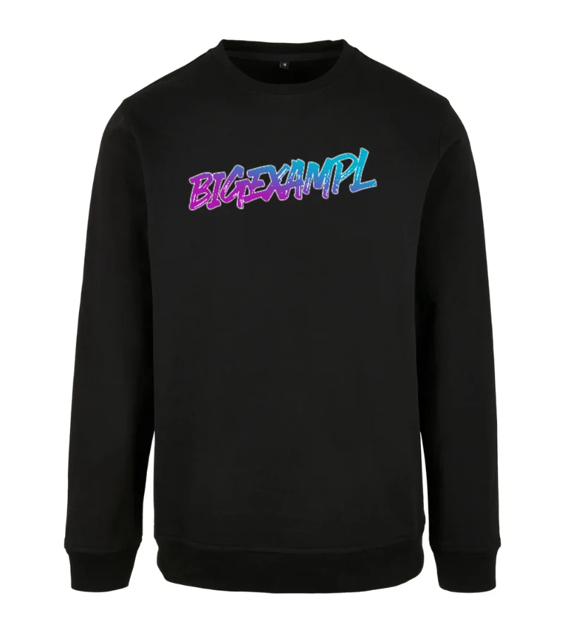 BIGEXAMPL - Sweatshirt in Black