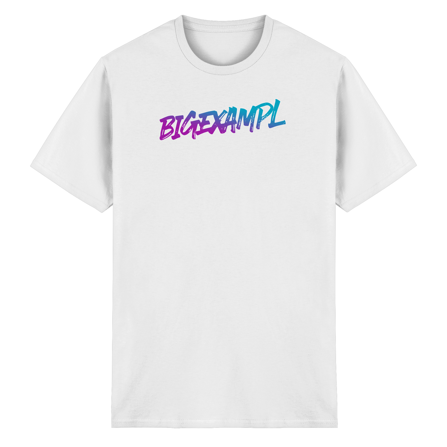 BIGEXAMPL - Heavy Cotton T-Shirt