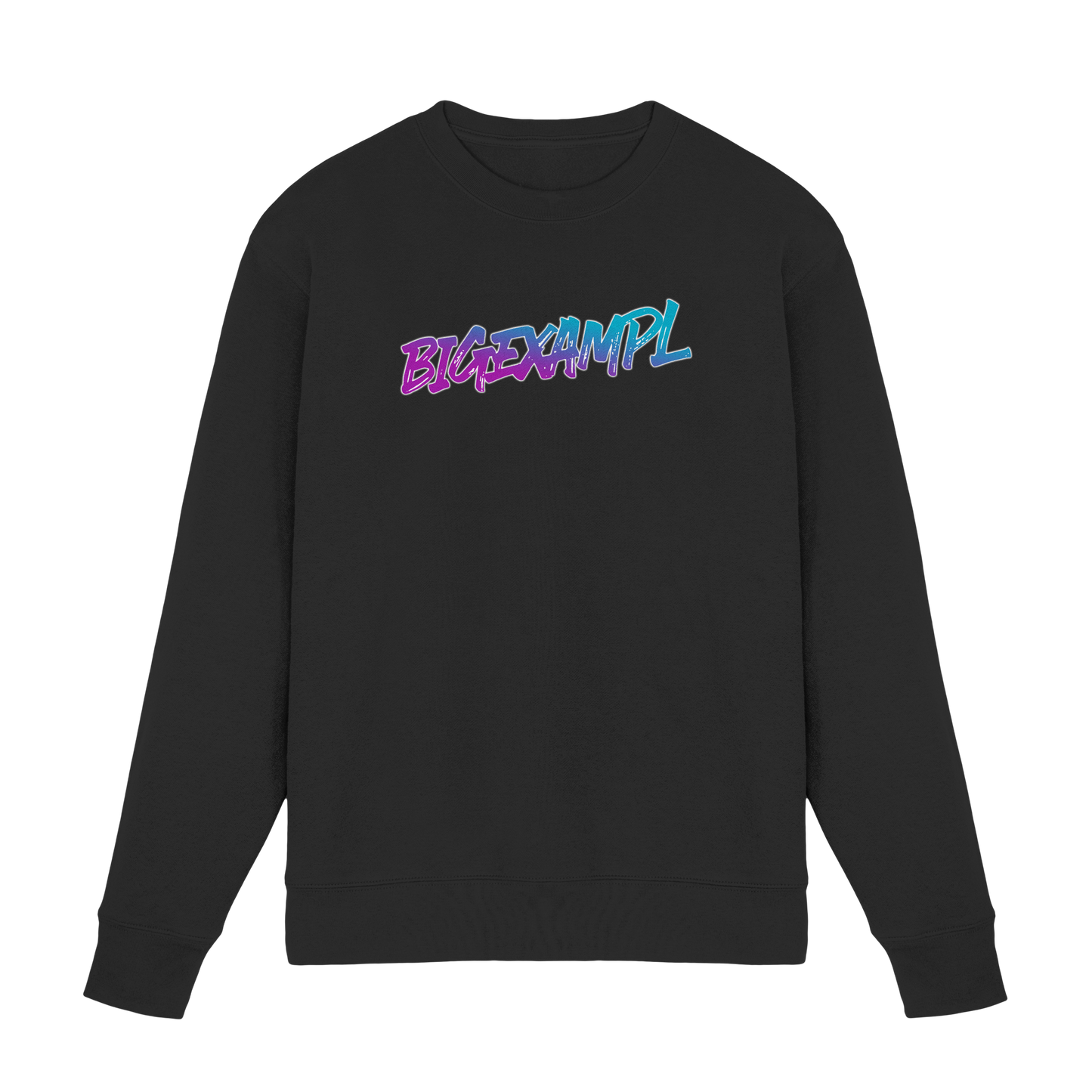 BIGEXAMPL - Premium Sweatshirt